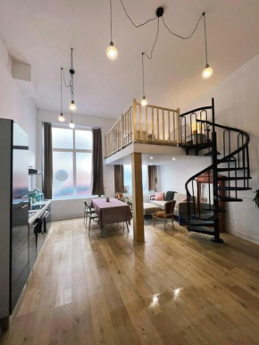 Appartement studio loft cosy centre st Etienne